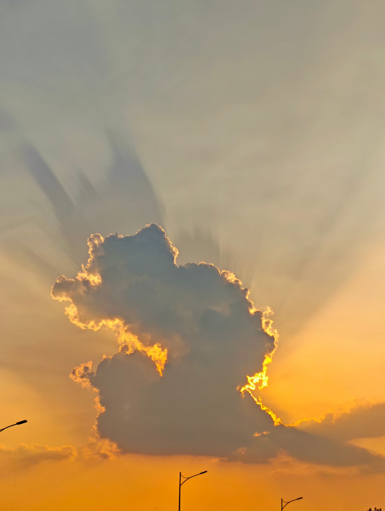 4049acd3957b669867367a36ed8404cc.jpg 4049acd3957b669867367a36ed8404cc.jpg