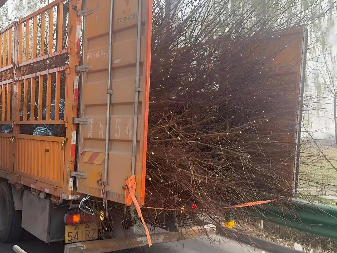 f8fbf36619b6d49c4641499c3d61b456.jpg f8fbf36619b6d49c4641499c3d61b456.jpg